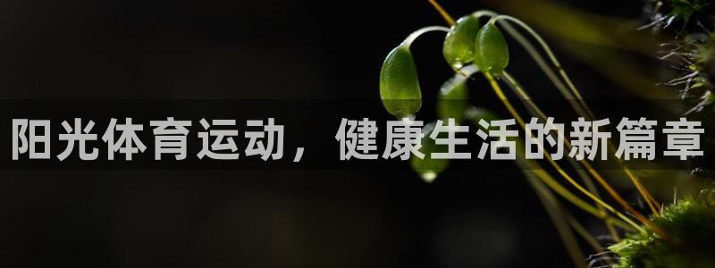 米兰体育官网下载官方客服电话：阳光体育运动，健康生活