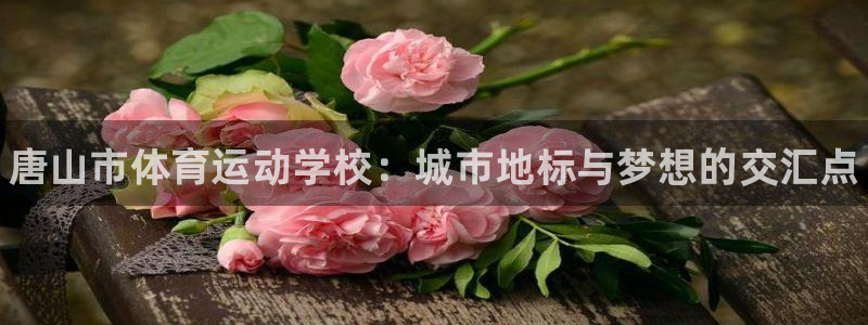 米兰体育官方正版app新能源：唐山市体育运动学校：城