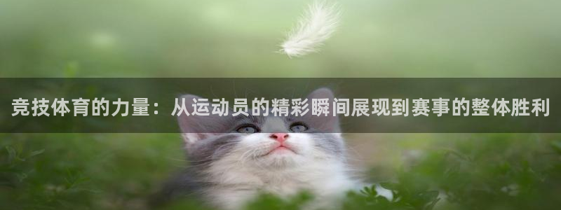 米兰体育官方正版app神州：竞技体育的力量：从运动员的精彩瞬