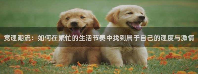 米兰体育官网下载平台注册流程视频：竞速潮流：如何在繁