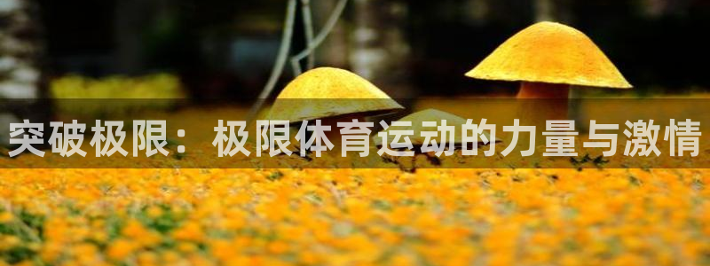 米兰体育官网下载招商电话是多少啊：突破极限：极限体育运动的力