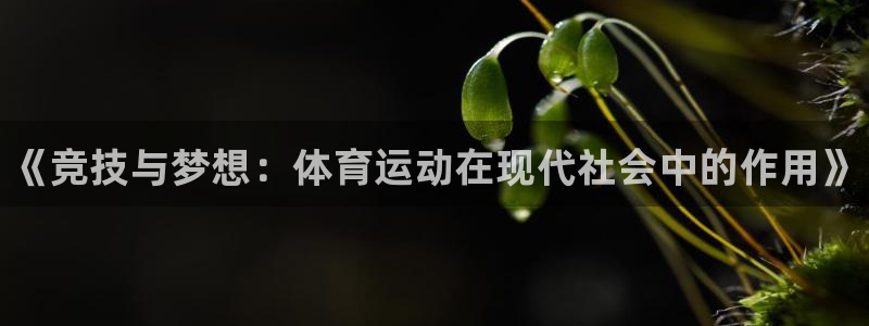 米兰体育官方正版app娱乐代理怎么样：《竞技与梦想：