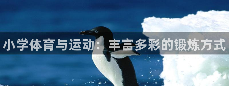 米兰体育官方正版app集团官网网址：小学体育与运动：