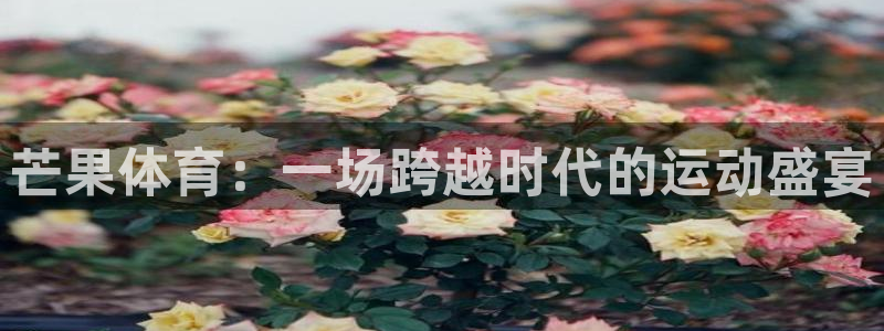 米兰体育官网下载招商电话地址是多少：芒果体育：一场跨