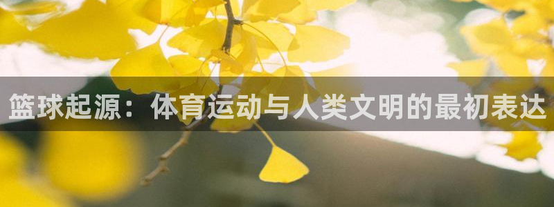 米兰体育官方正版app集团logo：篮球起源：体育运