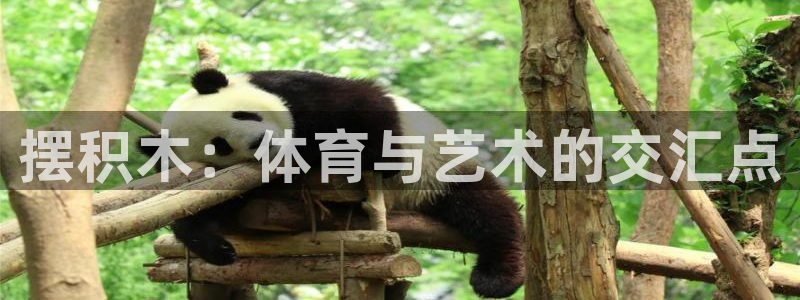 米兰体育官方正版app娱乐首页官网下载：摆积木：体育