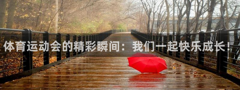 米兰体育官网下载平台是正规平台吗安全吗:体育运动会的精彩瞬间