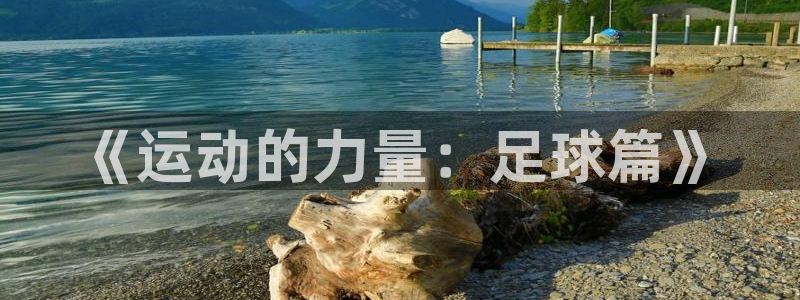 米兰体育官网下载招商电话号码是多少号：《运动的力量：足球篇》