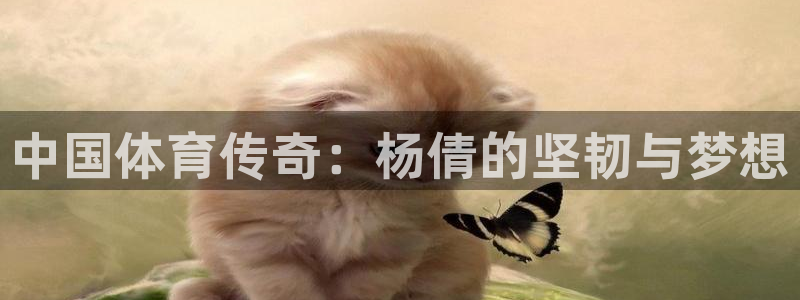 米兰体育官方正版app娱乐首页网站大全：中国体育传奇：杨倩的