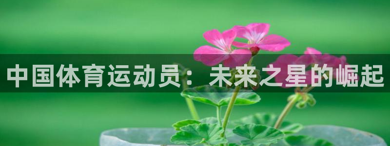 米兰体育官方正版app集团