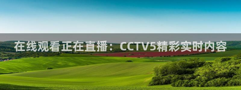 斗球直播网页版