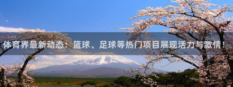 米兰体育官方正版app开户：体育界最新动态：篮球、足球等热门