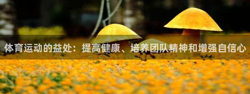 米兰体育官方正版app集团官网网址