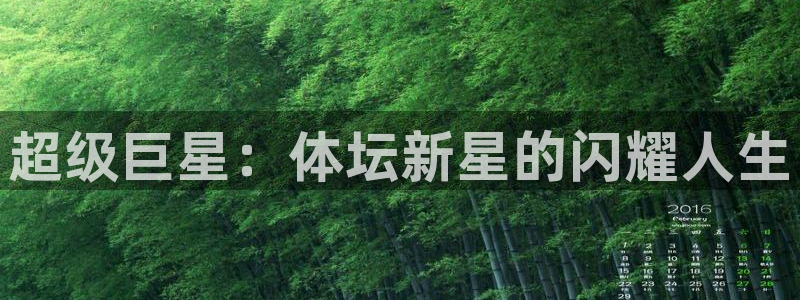 米兰体育官方正版app开户：超级巨星：体坛新星的闪耀人生