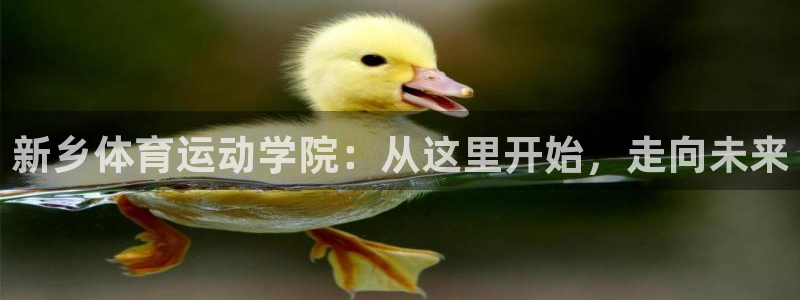 米兰体育官方正版app集团logo：新乡体育运动学院：从这里