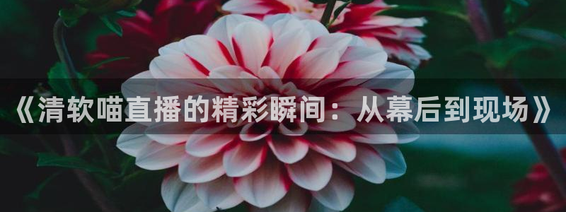 斗球在线直播：《清软喵直播的精彩瞬间：从幕后到现场》